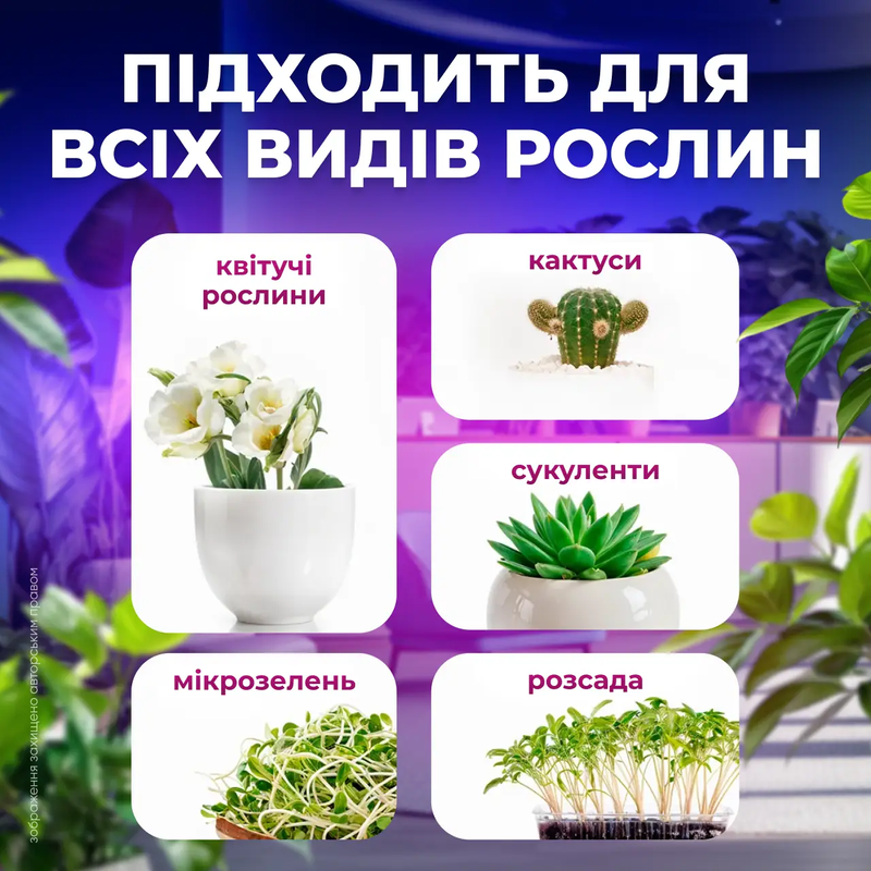 Фітолампа для рослин повного спектру для розсади LED лампа для фотосинтезу синє світло для квітів 2691635360778 фото