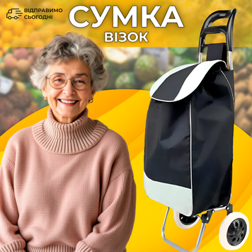 Господарська сумка на колесах 30 л 9098939881723-1 фото