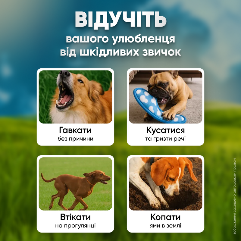 Нашийник для собак тренувальний ошийник для дресировки собак електронний водонепроникний з дистанційним керуванням  1759330407251 фото